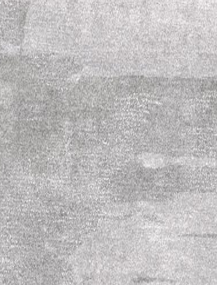 Makalu Nepal Teppich Edition PC141 Handgetuftet im Wunschmaß – Bild 4